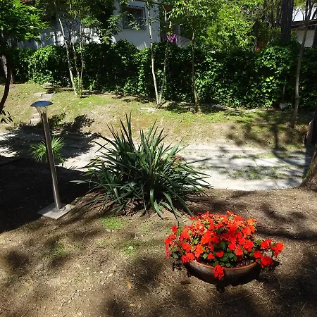 Amedea * 리그나노 사비아도로