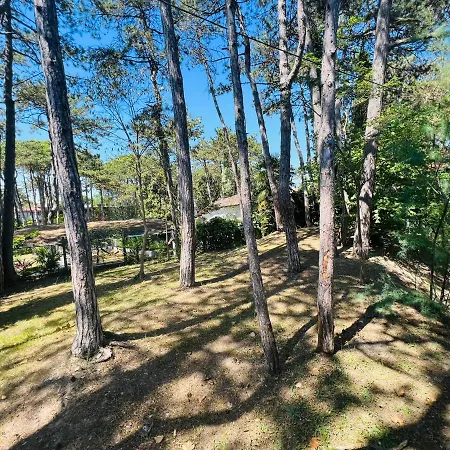 Amedea Villa