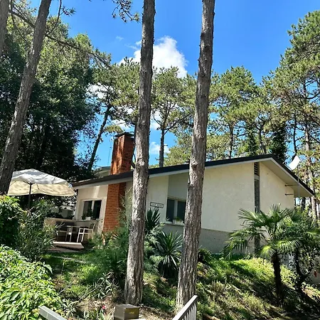 Amedea * ליגננו סביאדורו